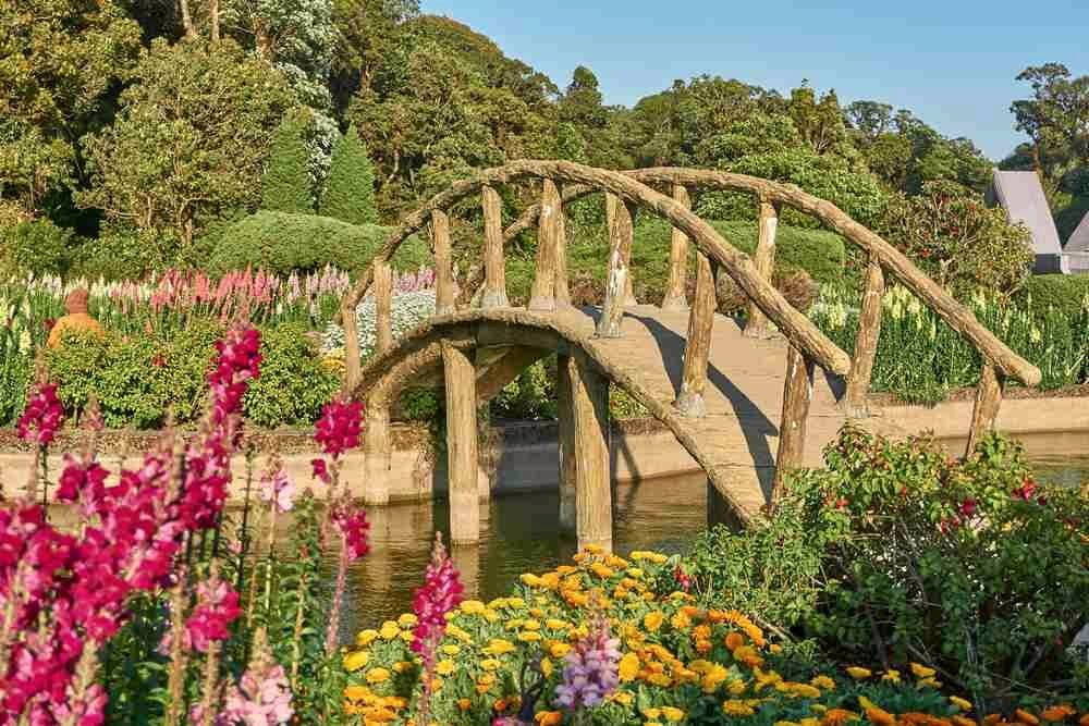 Jardin paysager